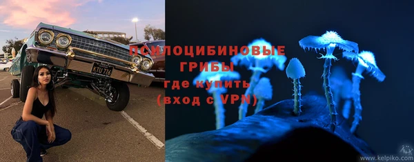 тгк Арсеньев