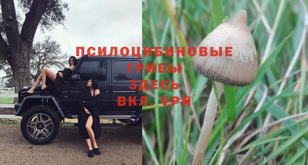 амф Аркадак
