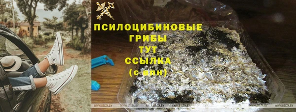 амф Аркадак