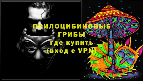 тгк Арсеньев