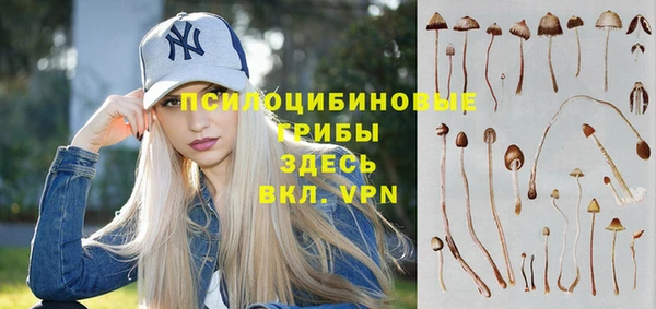 амф Аркадак