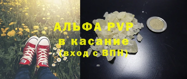 амф Аркадак