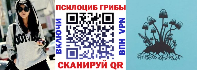 Псилоцибиновые грибы Psilocybe  Инсар 